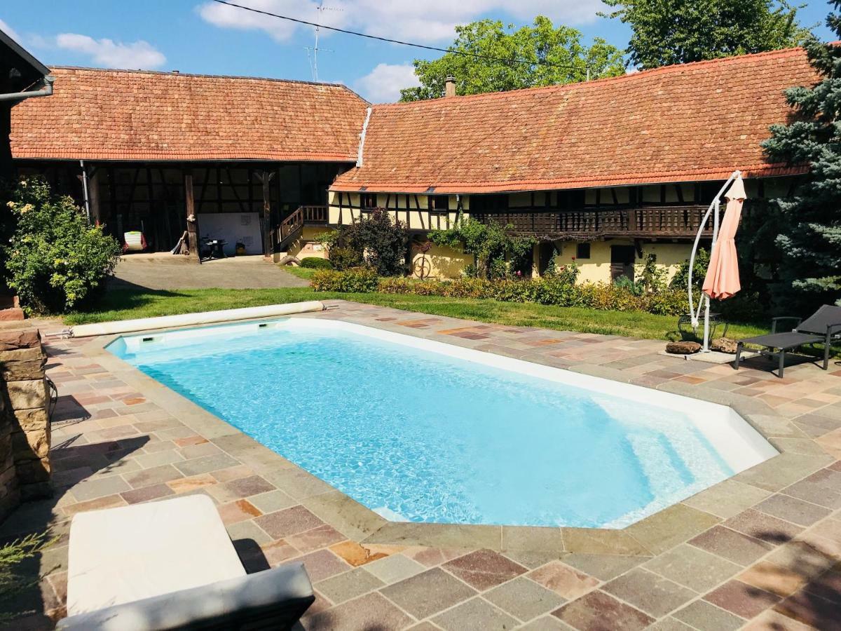Le Gite Des Ecureuils Schalkendorf Exterior foto