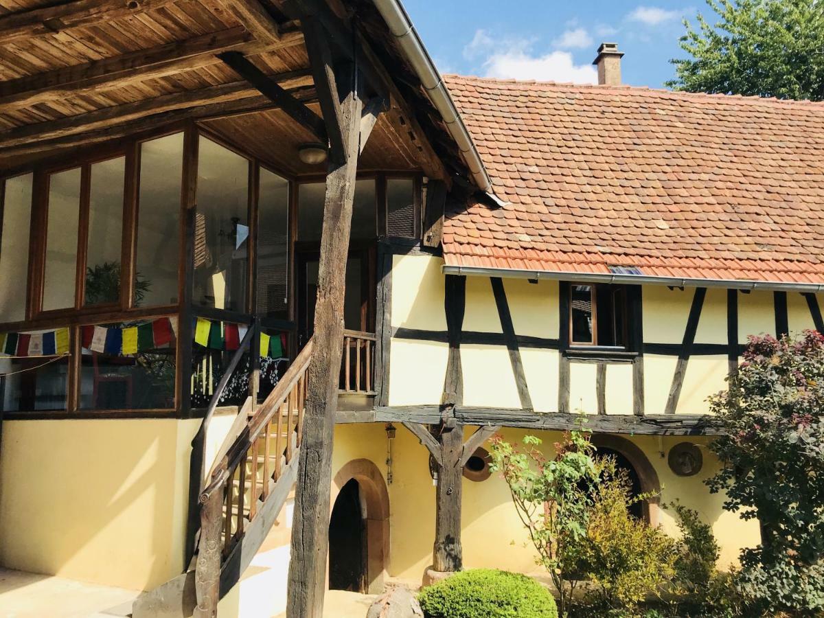 Le Gite Des Ecureuils Schalkendorf Exterior foto