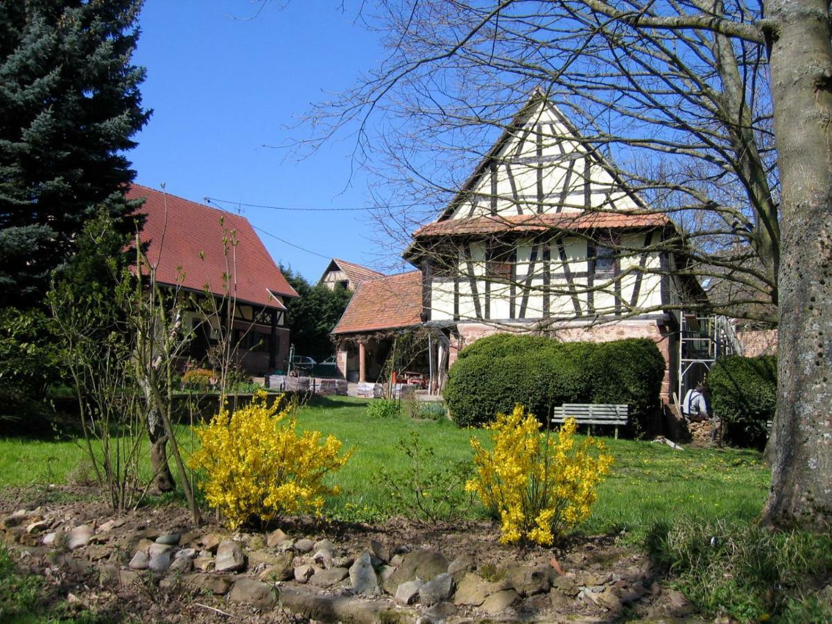 Le Gite Des Ecureuils Schalkendorf Exterior foto